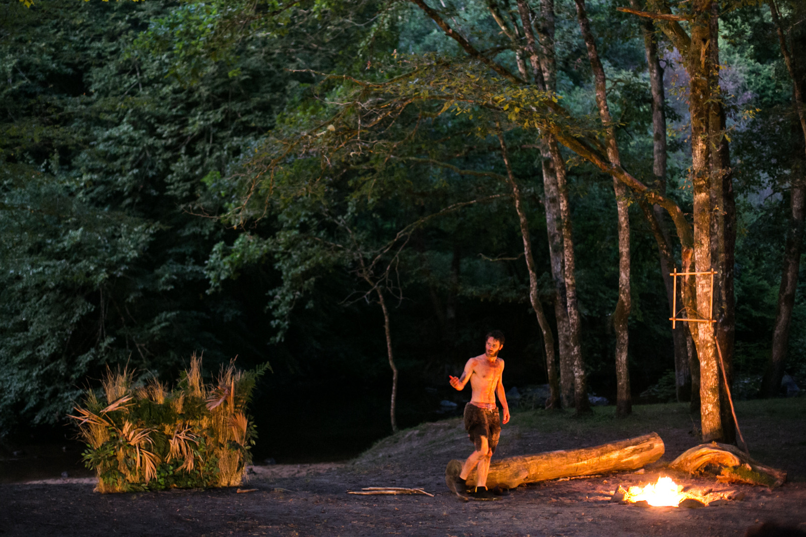 Back to the Trees ! · © Yann Slama